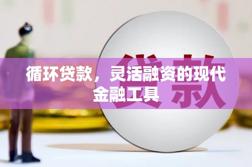 仁布循环贷款，灵活融资的现代金融工具
