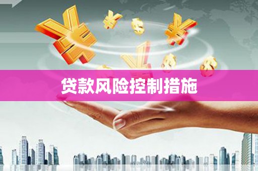 仁布贷款风险控制措施