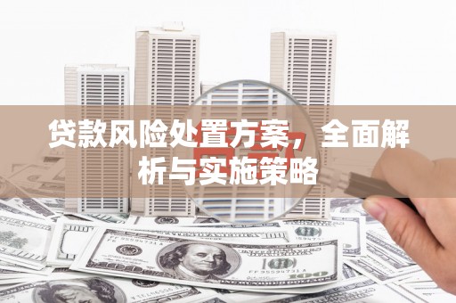 仁布贷款风险处置方案，全面解析与实施策略