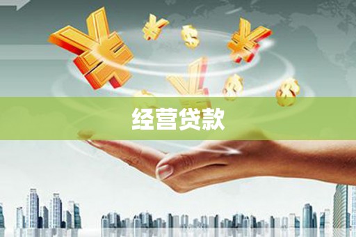 仁布经营贷款