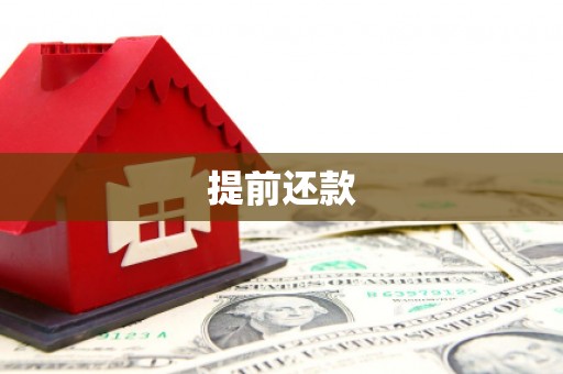 仁布提前还款